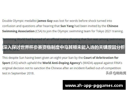 深入探讨世界杯参赛资格制度中马其顿未能入选的关键原因分析