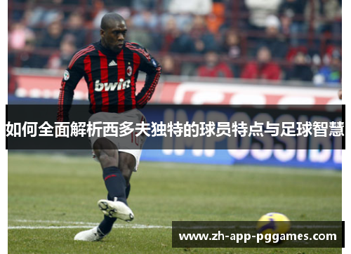 如何全面解析西多夫独特的球员特点与足球智慧