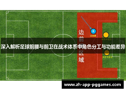 深入解析足球前腰与前卫在战术体系中角色分工与功能差异