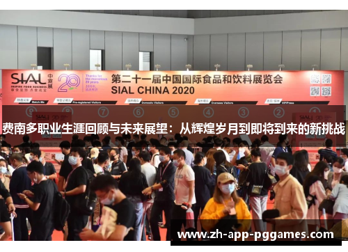 费南多职业生涯回顾与未来展望：从辉煌岁月到即将到来的新挑战